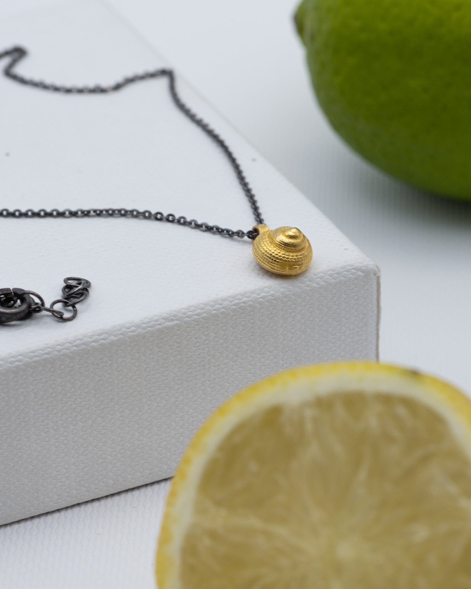 mušle na řetízku oceán