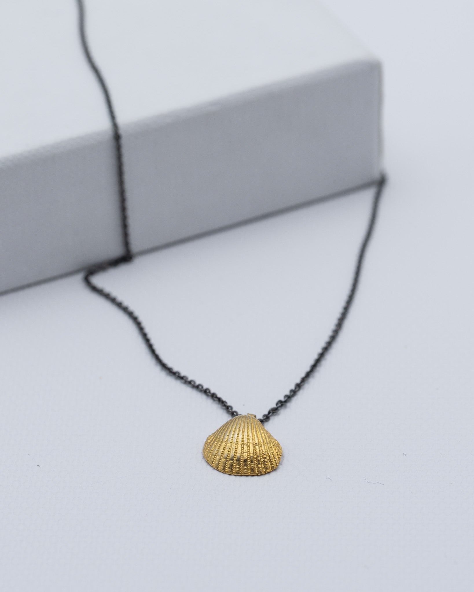 mořská mušle řetízek